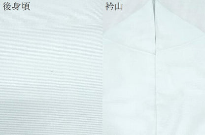 平和屋着物＊夏物　訪問着　絽　露芝舞蝶文　銀彩　洗える着物　CABK9215th