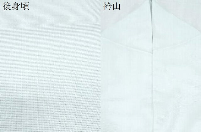 平和屋着物＊夏物　訪問着　絽　露芝舞蝶文　銀彩　洗える着物　CABK9215th