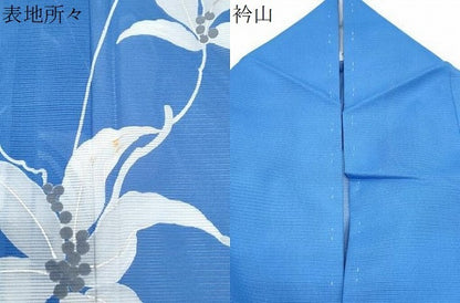 平和屋着物＊夏物　訪問着　絽　草花文　銀彩　洗える着物　CABK9224th