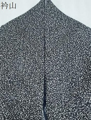 平和屋着物＊夏物　訪問着　絽　飛鶴文　黒地　金銀彩　洗える着物　CABK9230th