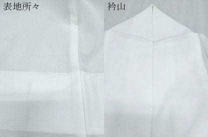 平和屋着物＊夏物　訪問着　絽　手描き　草花文　金彩　洗える着物　CABK9248th