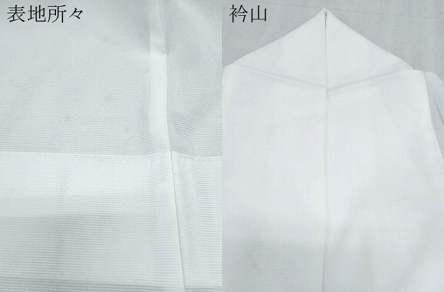 平和屋着物＊夏物　訪問着　絽　手描き　草花文　金彩　洗える着物　CABK9248th