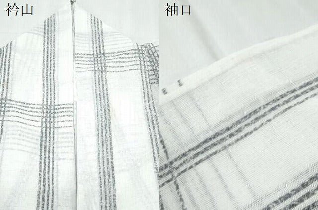 平和屋着物＊夏物　小紋　紗　格子舞蝶文　洗える着物　CABK9262th