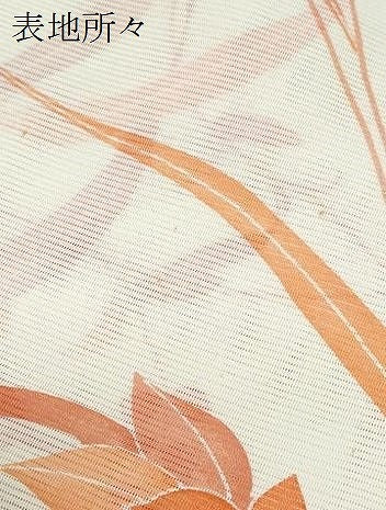 平和屋着物＊夏物　小紋　絽　草花文　洗える着物　CABK9270th