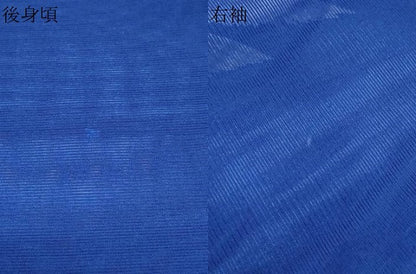 平和屋着物＊夏物　訪問着　絽　流水飛鶴文　金彩　洗える着物　CABK9273th