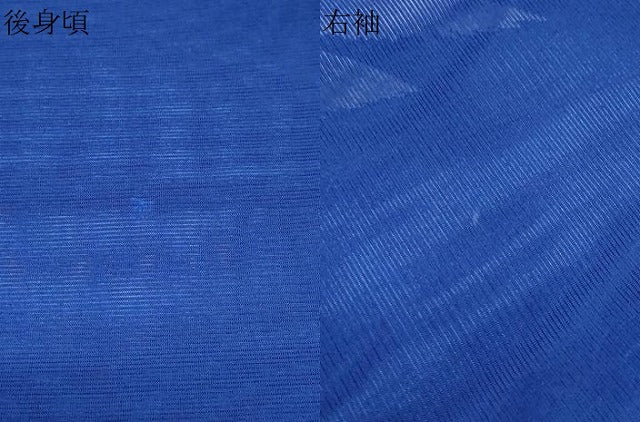 平和屋着物＊夏物　訪問着　絽　流水飛鶴文　金彩　洗える着物　CABK9273th