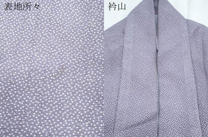 平和屋着物＊夏物　江戸小紋　絽　霞文　洗える着物　CABK9281th