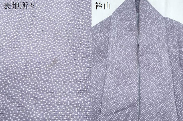 平和屋着物＊夏物　江戸小紋　絽　霞文　洗える着物　CABK9281th