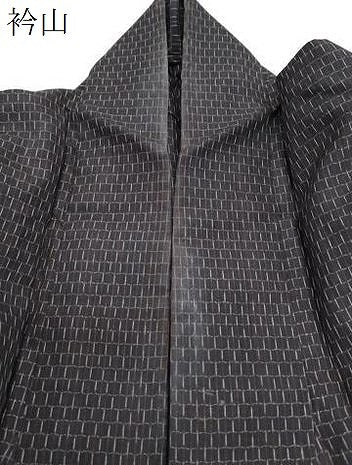 平和屋着物＊夏物　紗紬　亀甲文様　正絹　逸品　CABK9307th