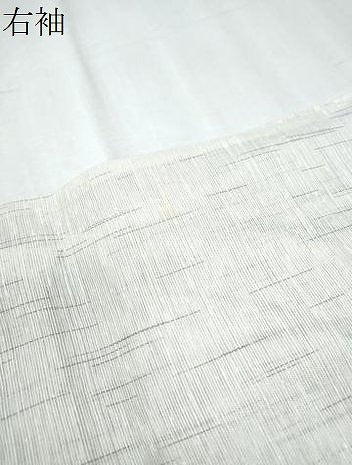 平和屋着物＊夏物　訪問着　紗紬　手描き　草花文　正絹　逸品　CABK9308th