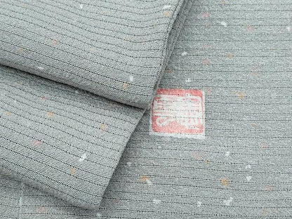 平和屋着物＊夏物　小紋　絽縮緬　作家物　霞文　正絹　逸品　CABK9309th