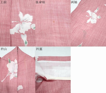 平和屋着物＊夏物　本場小千谷ちぢみ　草花文　麻　逸品　CABK9313th