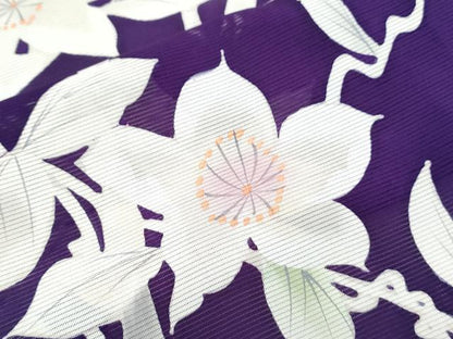 平和屋着物＊夏物　訪問着　絽　手描き　草花文　正絹　逸品　CABK9316th