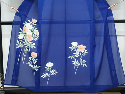 平和屋着物＊夏物　訪問着　絽　草花文　正絹　逸品　CABK9323th