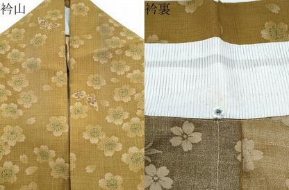 平和屋着物＊夏物　小紋　紗　花蝶間道　暈し染め　洗える着物　CABK9324th
