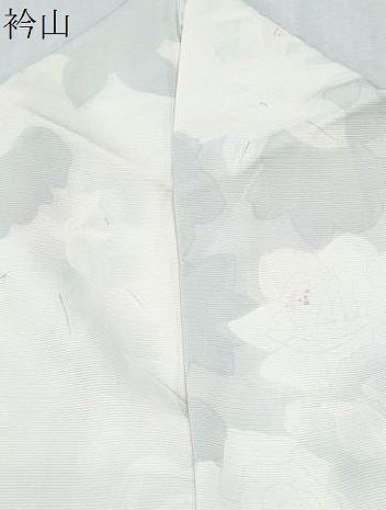 平和屋着物＊夏物　小紋　絽　薔薇　正絹　逸品　CABK9329th