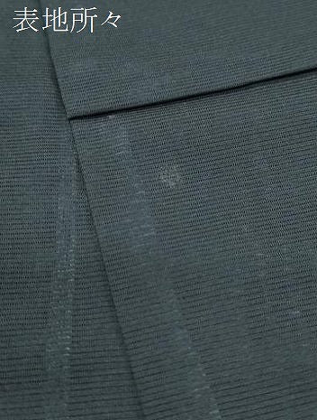 平和屋着物＊夏物　訪問着　絽　薔薇舞蝶文　黒地　洗える着物　CABK9351th