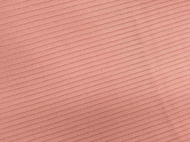 平和屋着物＊夏物　色無地　絽　甚三紅色　正絹　逸品　CABK9360th