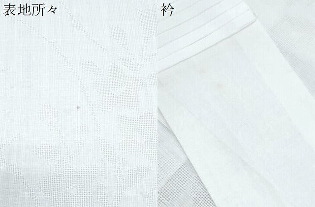 平和屋着物＊夏物　長襦袢　草花紋紗　胡粉色　CABK9368th