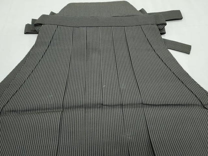 平和屋着物＊夏物　男性　行灯袴　縦絽　縞　正絹　逸品　CABK9374th
