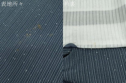 平和屋着物＊夏物　紗紬　縞　正絹　逸品　CABK9377th