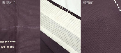 平和屋着物＊夏物　小紋　絽　吉祥文　正絹　逸品　CABK9378th