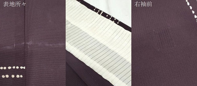 平和屋着物＊夏物　小紋　絽　吉祥文　正絹　逸品　CABK9378th