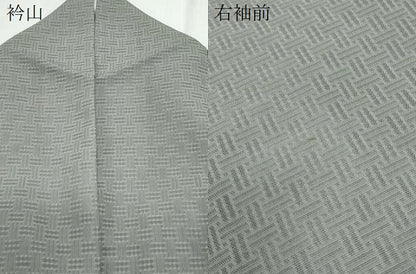 平和屋着物＊夏物　訪問着　籬紋紗　草花文　銀彩　正絹　逸品　CABK9381th
