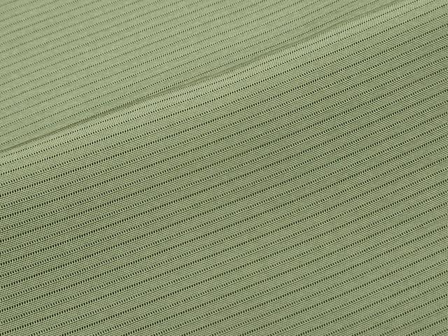 平和屋着物＊夏物　色無地　絽　草色　正絹　逸品　CABK9392th
