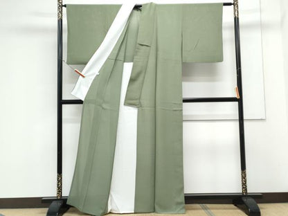 平和屋着物＊夏物　小紋　絽縮緬　霞文　正絹　逸品　CABK9397th