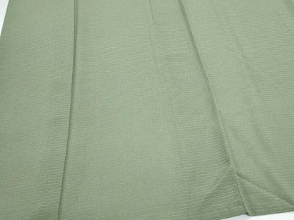 平和屋着物＊夏物　小紋　絽縮緬　霞文　正絹　逸品　CABK9397th