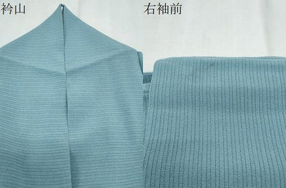 平和屋着物＊夏物　色無地　絽縮緬　瓶覗色　正絹　逸品　CABK9404th