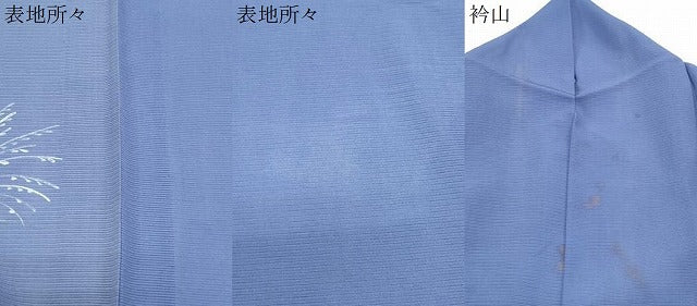 平和屋着物＊夏物　訪問着　絽　地紙草花紋　金彩　正絹　逸品　CABK9413th