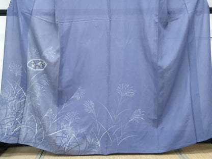 平和屋着物＊夏物　訪問着　絽　地紙草花紋　金彩　正絹　逸品　CABK9413th