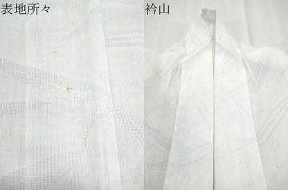 平和屋着物＊夏物　長襦袢　笹紋紗　胡粉色　CABK9438th