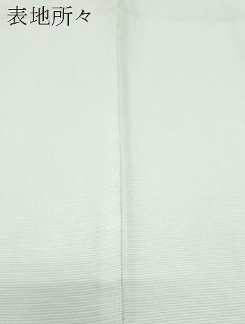 平和屋着物＊夏物　訪問着　絽　エ霞花文　暈し染め　金彩　正絹　逸品　CABK9541th