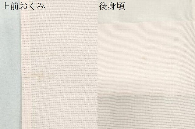 平和屋着物＊夏物　訪問着　絽　草花文　暈し染め　銀彩　正絹　逸品　CABK9546th