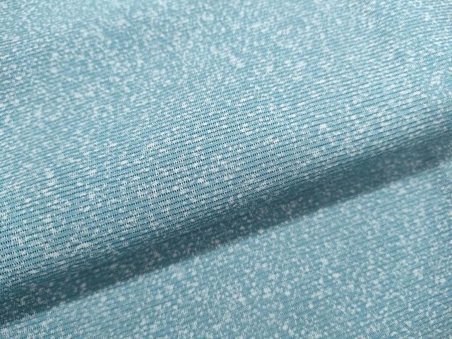 平和屋着物＊夏物　小紋　絽　霞文　正絹　逸品　CABK9558th