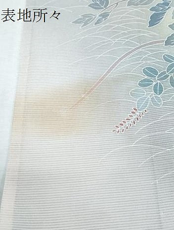 平和屋着物＊夏物　訪問着　絽　枝花文　暈し染め　正絹　逸品　CABK9564th