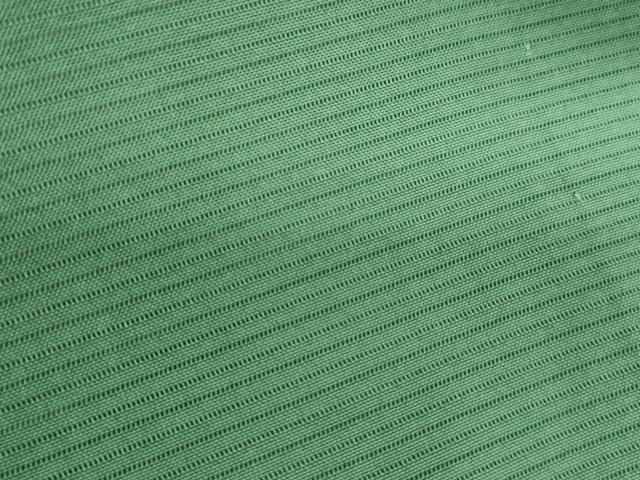 平和屋着物＊夏物　色無地　絽　薄緑色　正絹　逸品　CABK9590th