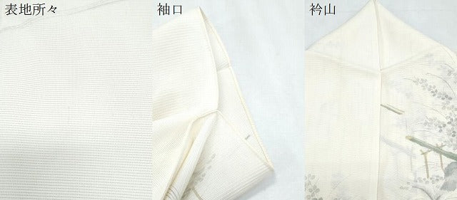 平和屋着物＊夏物　小紋　絽　手描き　風景文　正絹　逸品　CABK9597th