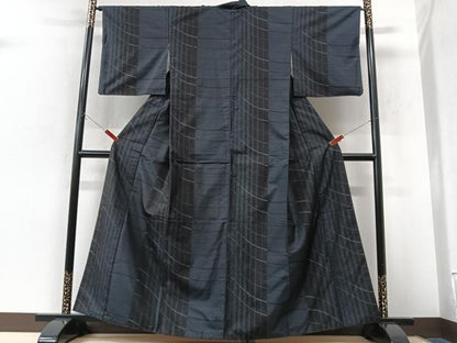 平和屋着物■本場大島紬　間道　さが美扱い　正絹　逸品　CABK9659xe