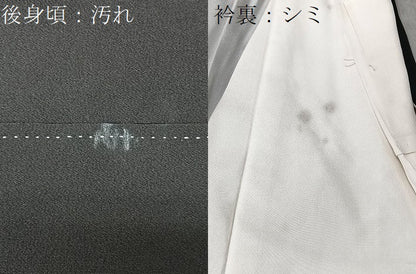 平和屋着物■豪華黒留袖　飛鶴風景文　正絹　逸品　CABK9697xe