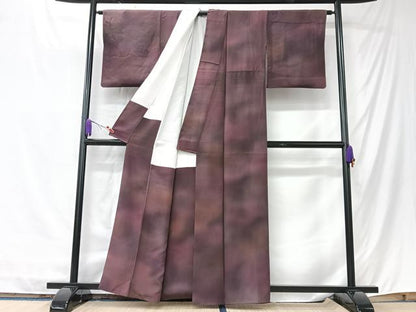 平和屋着物■上質な小紋　作家物　霞文　正絹　逸品　CABK9729xe