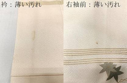 平和屋着物■訪問着　風景文　金彩　ロング丈　正絹　逸品　CABK9749xe