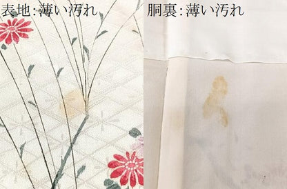平和屋着物■上質な小紋　枝花文　正絹　逸品　CABK9841xe