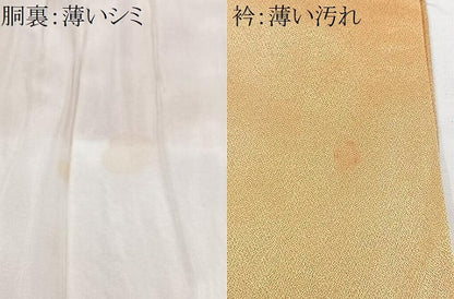 平和屋着物■訪問着　遠山樹林文　暈し染め　正絹　逸品　CABK9909xe