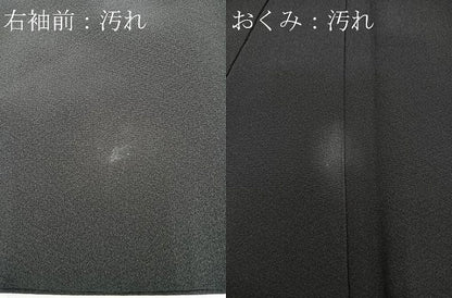 平和屋着物■豪華黒留袖　作家物　渡り橋風景松も　暈し染め　金銀彩　正絹　逸品　CABK9924xe