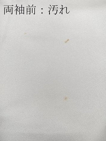 平和屋着物■訪問着　矢羽文　暈し染め　金彩　正絹　逸品　CABK9933xe