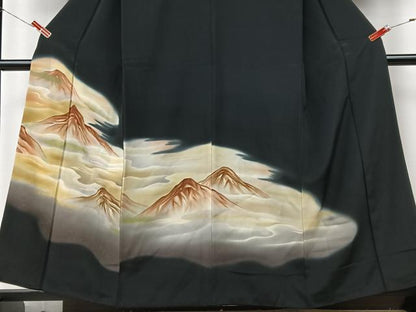 平和屋着物■豪華黒留袖　雲海　暈し染め　金彩　正絹　逸品　CABK9956xe